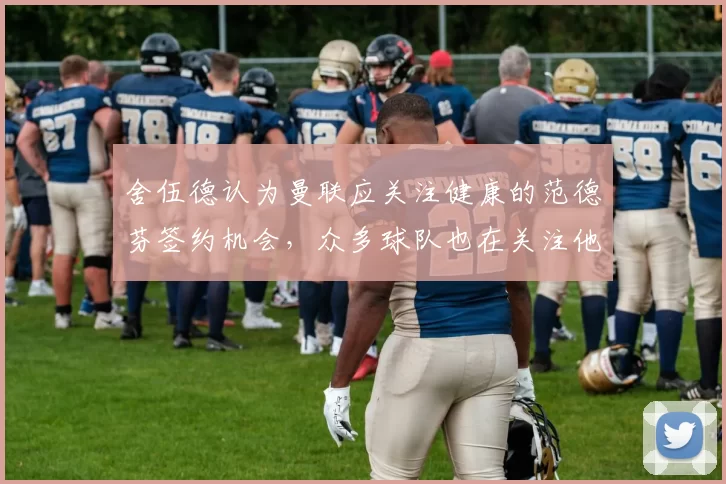舍伍德认为曼联应关注健康的范德芬签约机会，众多球队也在关注他