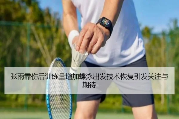 张雨霏伤后训练量增加蝶泳出发技术恢复引发关注与期待